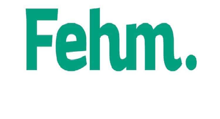 بيع دومين مميز ( fehm.net ) الاسم بالعربي ( فهم )