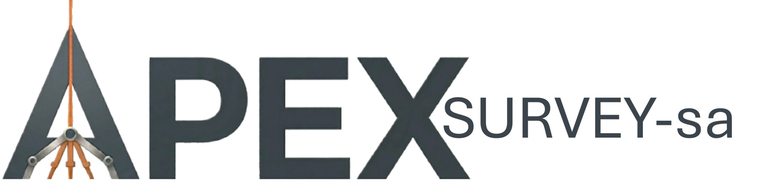 apexsurvey-sa